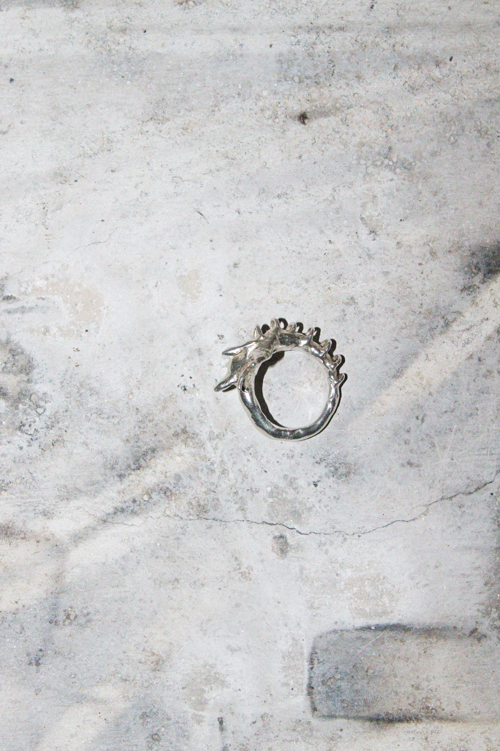 Dragon's tail ring