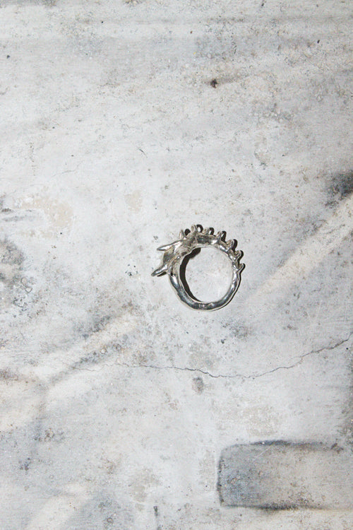 Dragon's tail ring