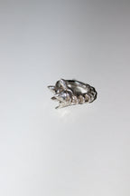 Dragon's tail ring