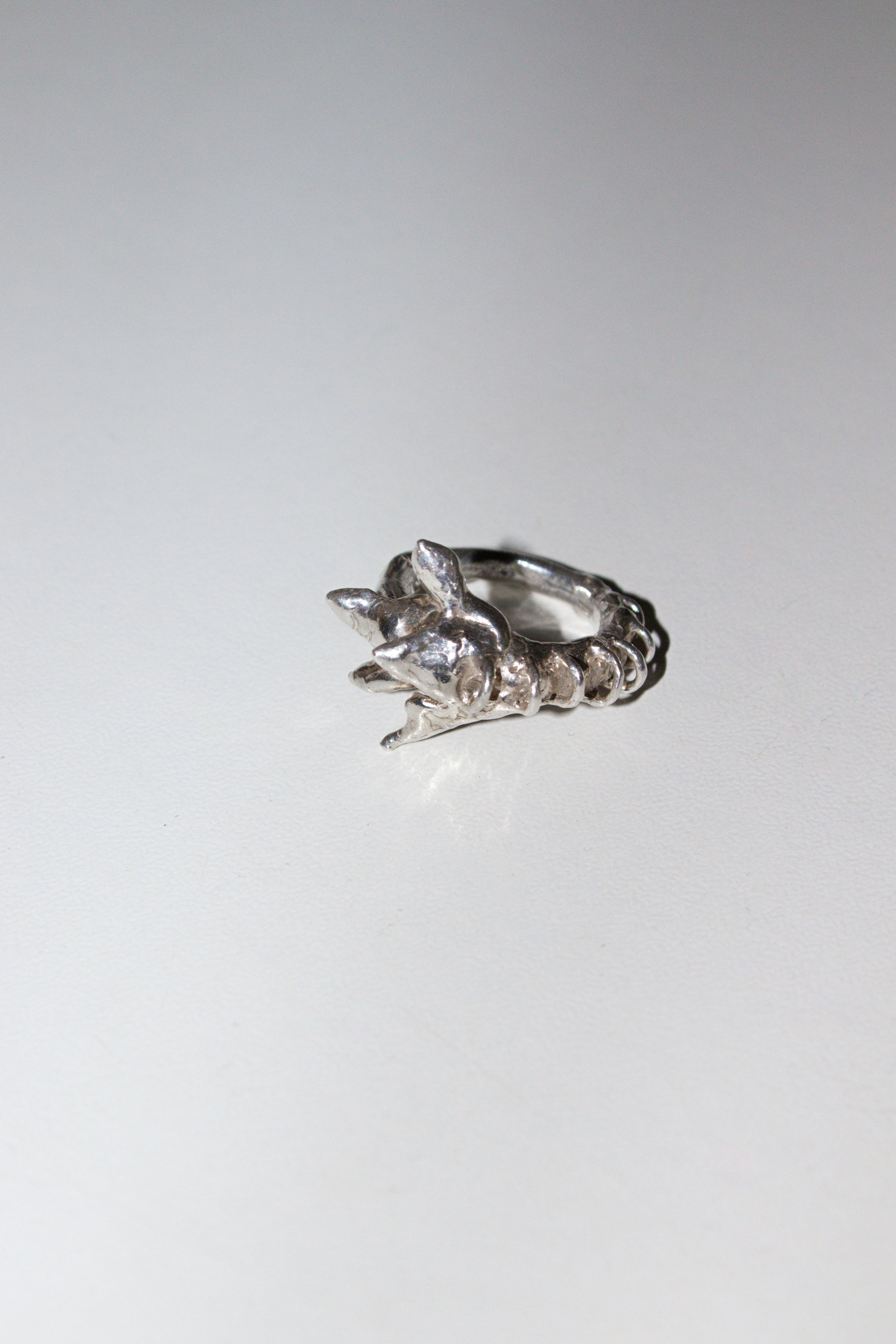 Dragon's tail ring